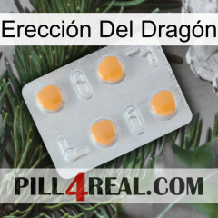 Erección Del Dragón 24